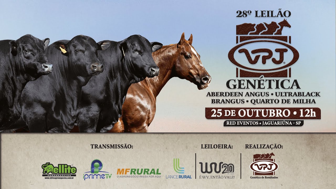 28º Leilão VPJ Genética
