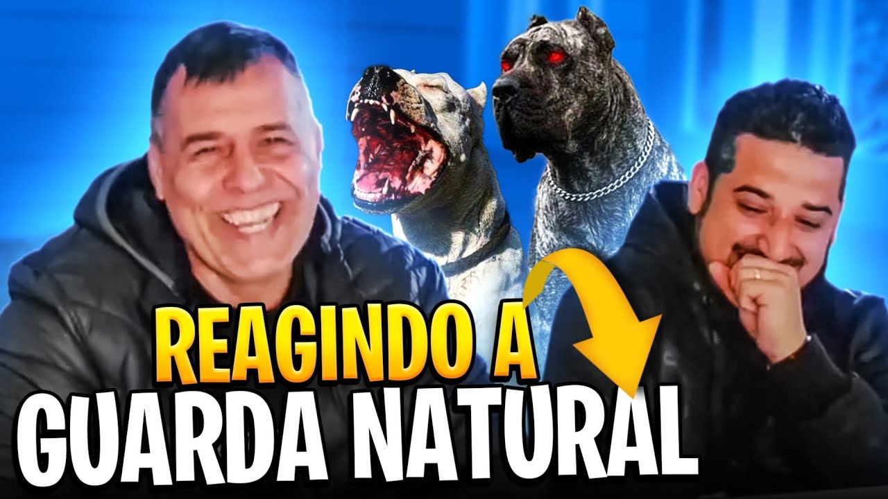 REAGINDO A TESTES DE 