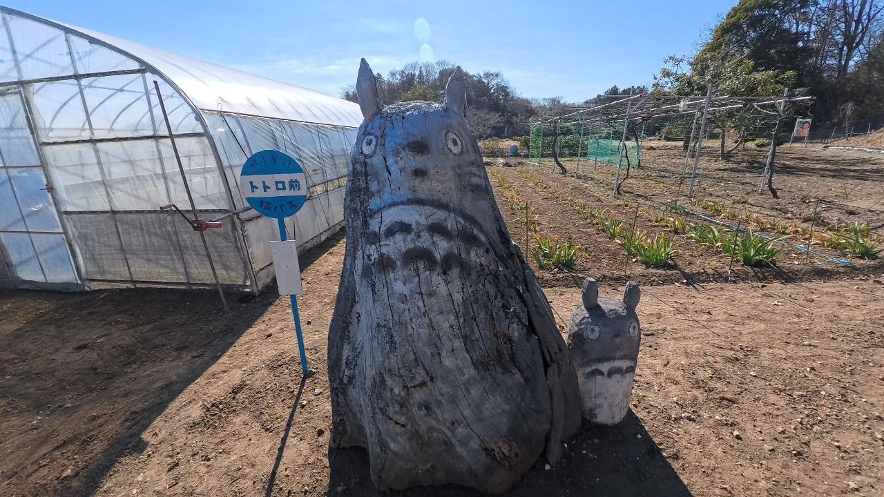 【さくら運動公園付近】を一周してみた Part 1（2026/02/02）