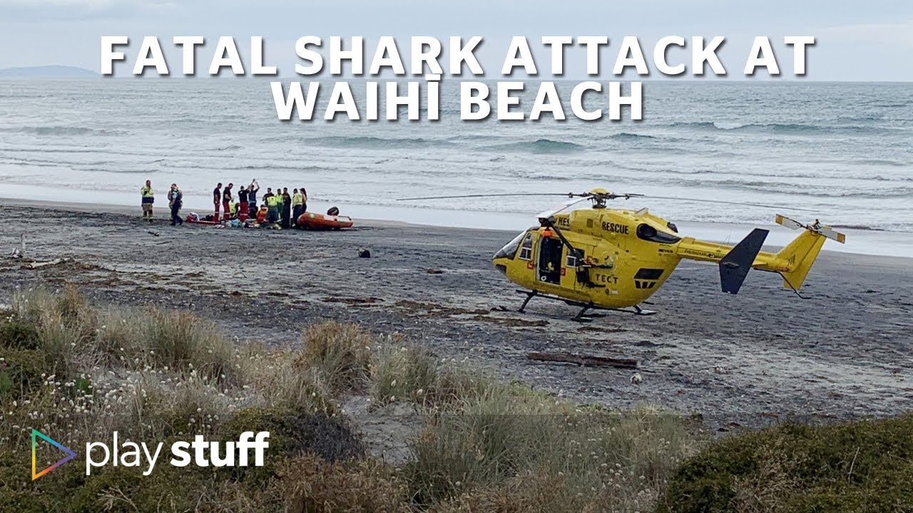 Waihī Beach fatal shark attack: Local lifesaver talks about the situation | Stuff.co.nz