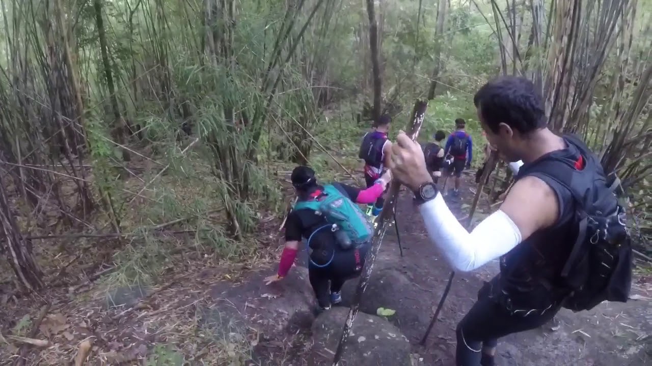 TNT10