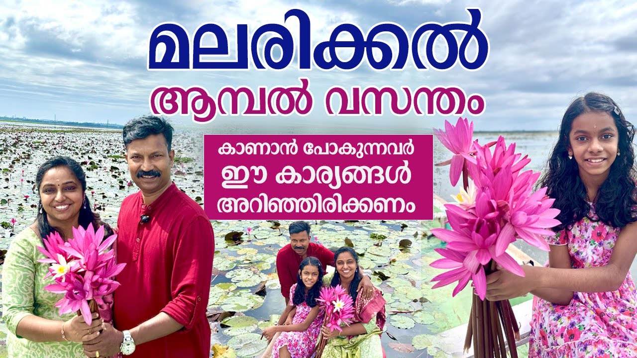 മലരിക്കൽ ആമ്പൽ വസന്തം | Malarikkal | Water Lilies | Malarikkal Ambal  | Kottayam | Water Lily Field