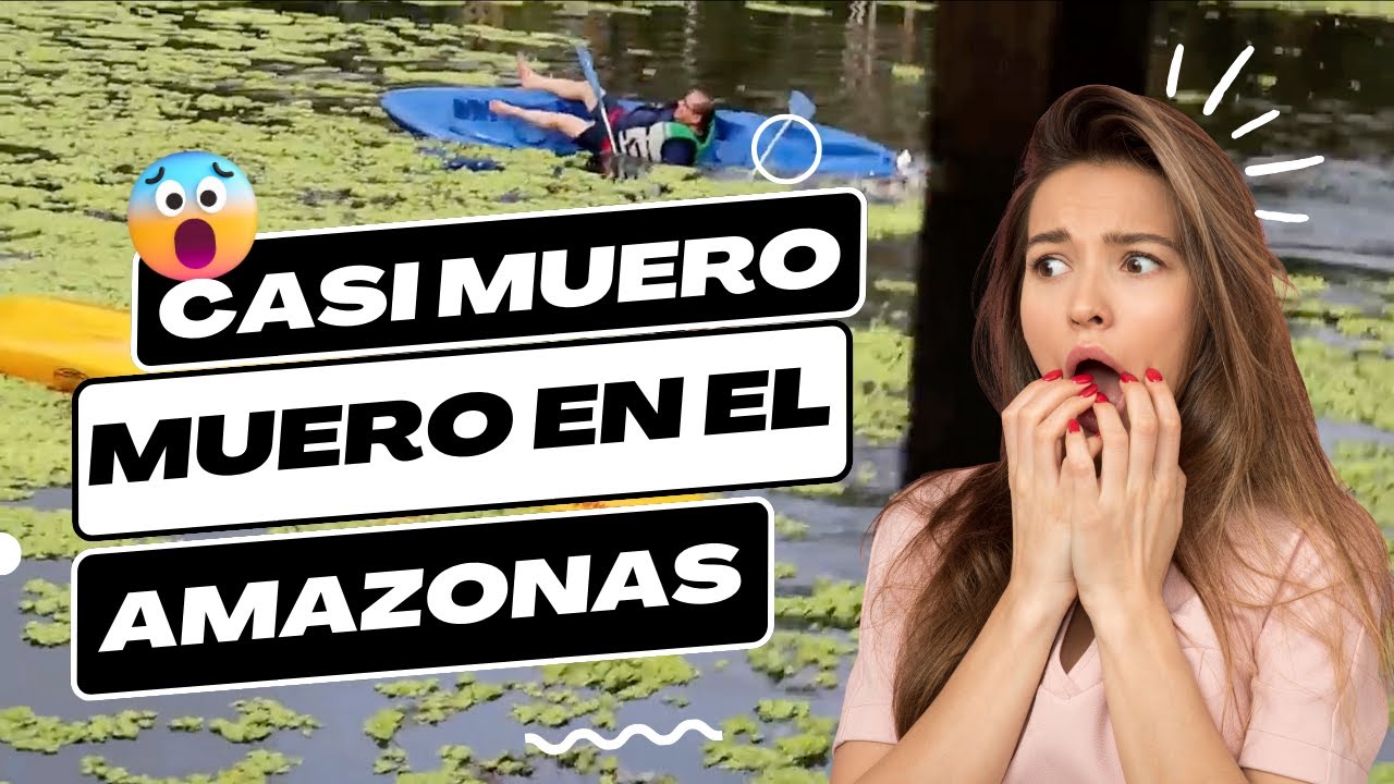 Visite al AMAZONAS para conocer como CAPTURAN los PECES DISCO 🐟 #discus #pecesdisco #acuario