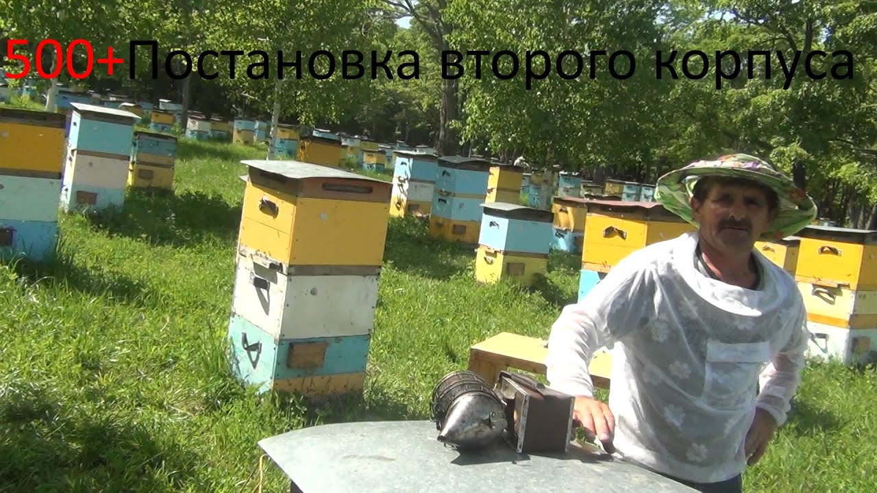 500+ Постановка второго корпуса.