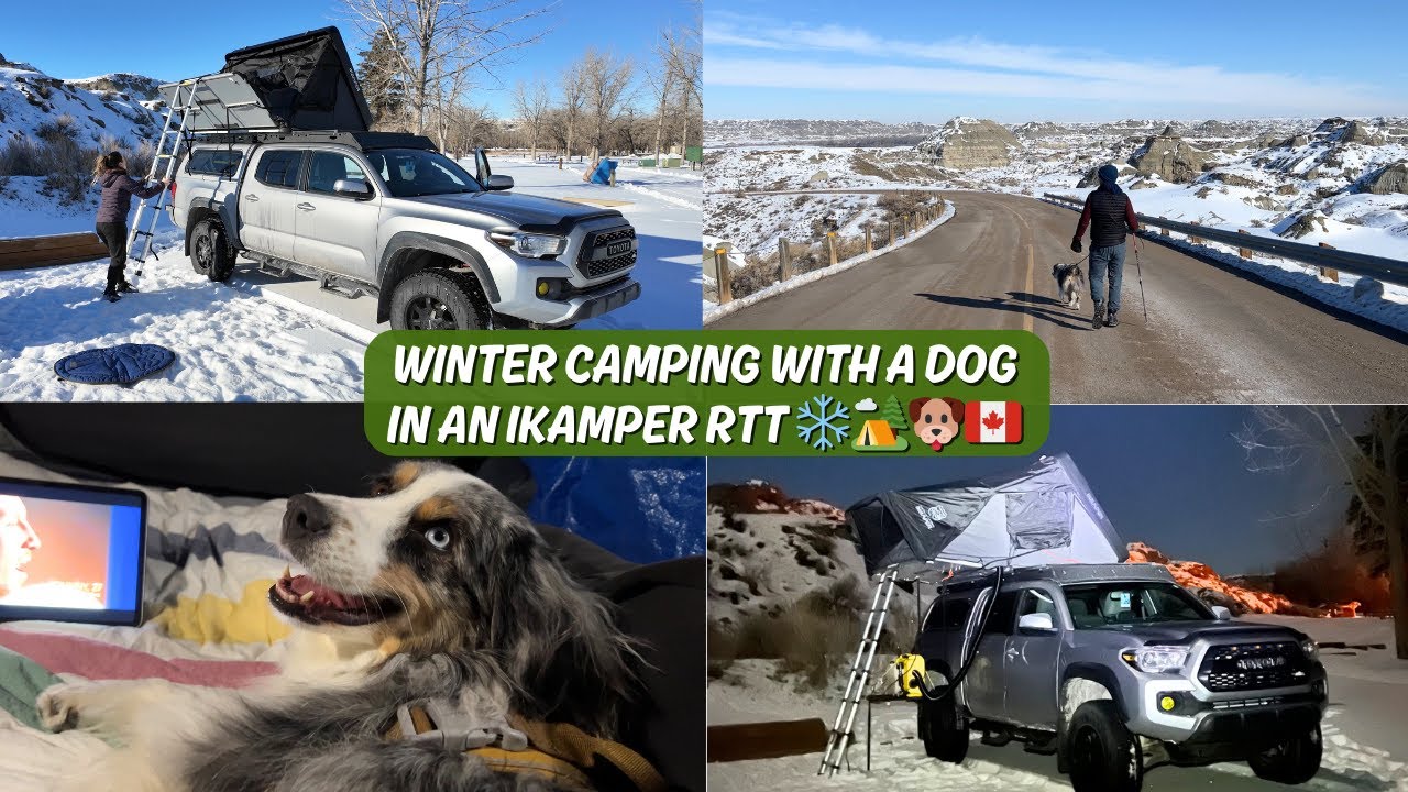 Winter Camping in a RTT with a Dog (iKamper Skycamp 3.0 with Insulation Tent and Diesel Heater)