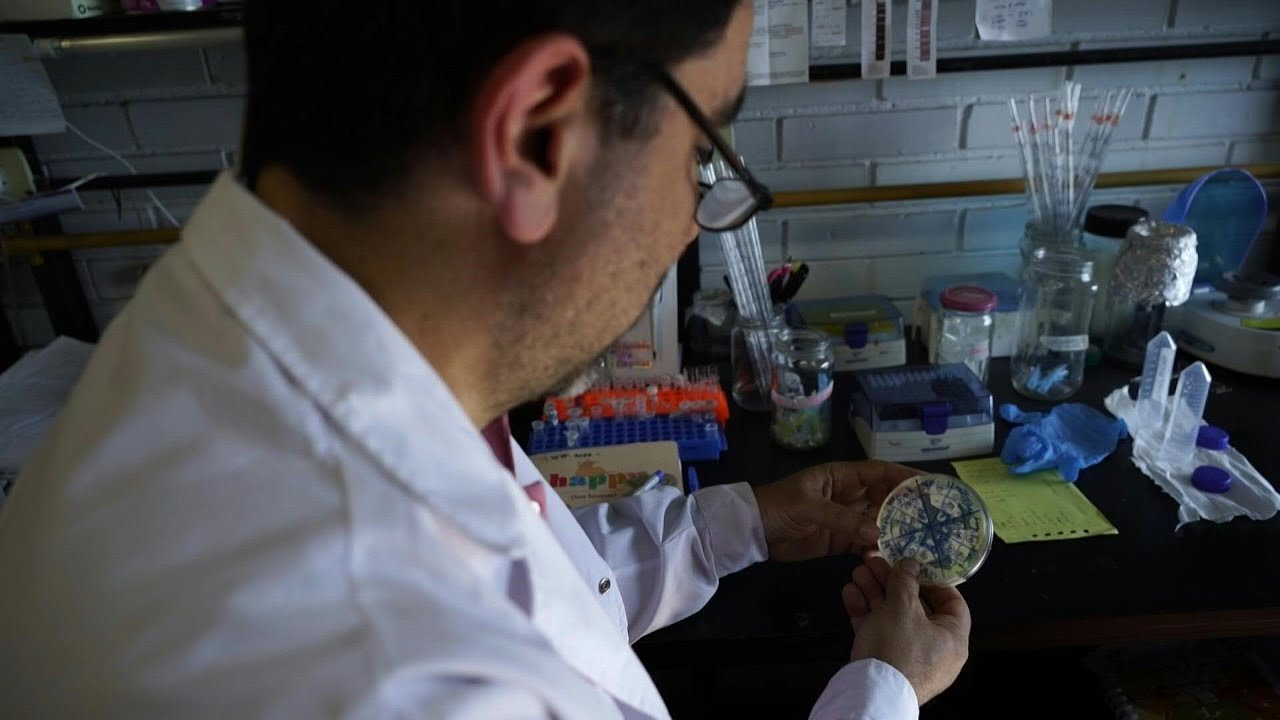 La ciencia argentina 
