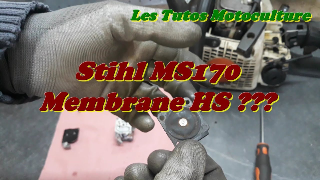 Stihl Ms170 , Membrane HS ???