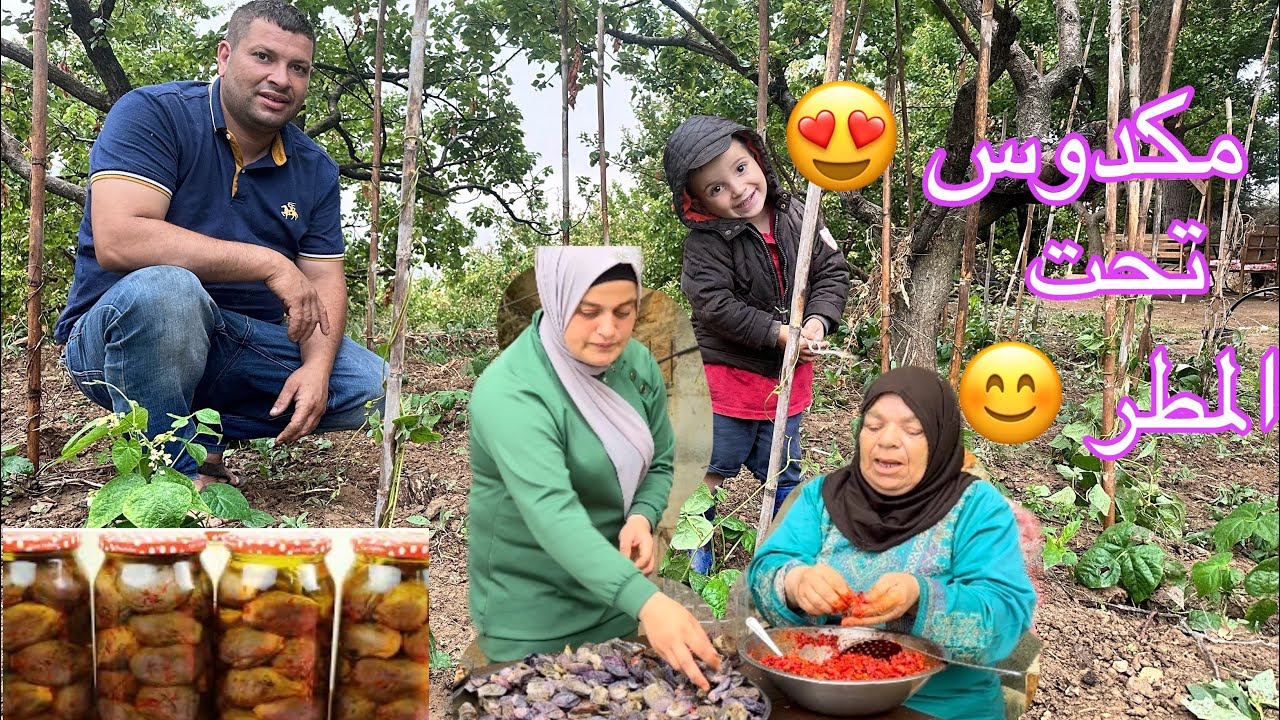 ريف لبنان 🇱🇧 تحضير مونة المكدوس تحت المطر ⛈️🌦️☔️والإهتمام بالمزروعات 😍