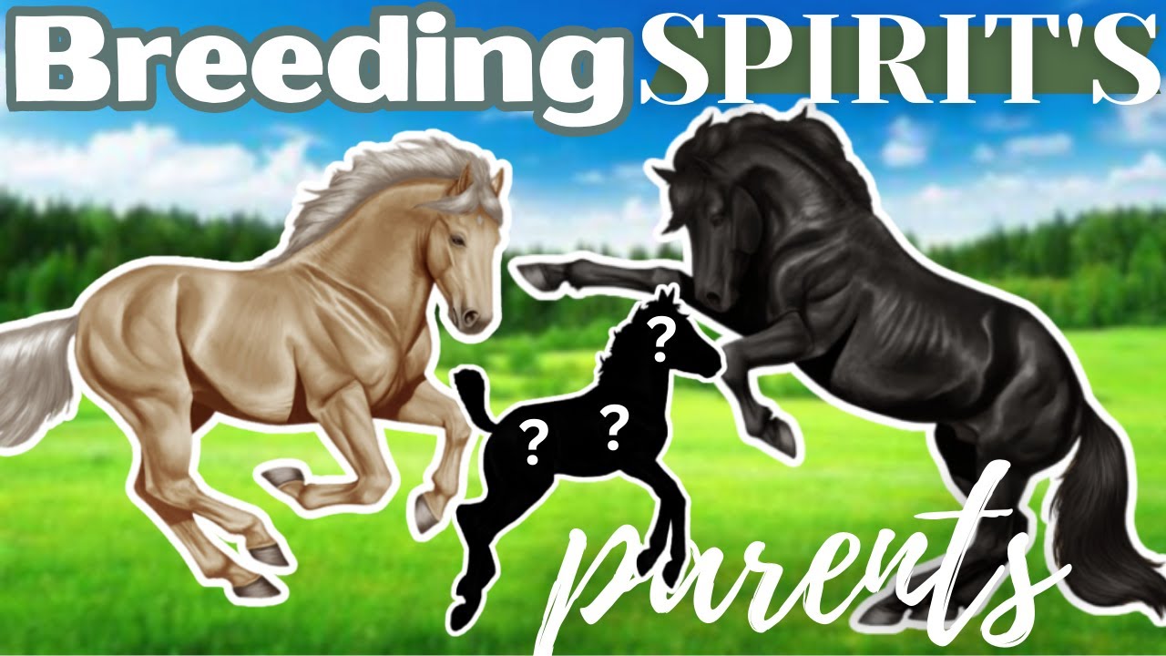BREEDING SPIRIT’S PARENTS on Horse Reality!