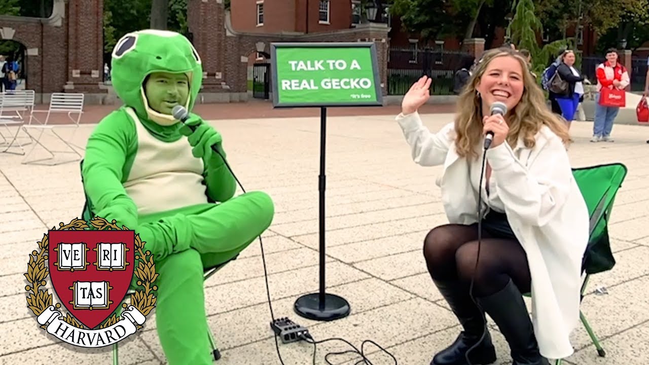 Being a Gecko at Harvard