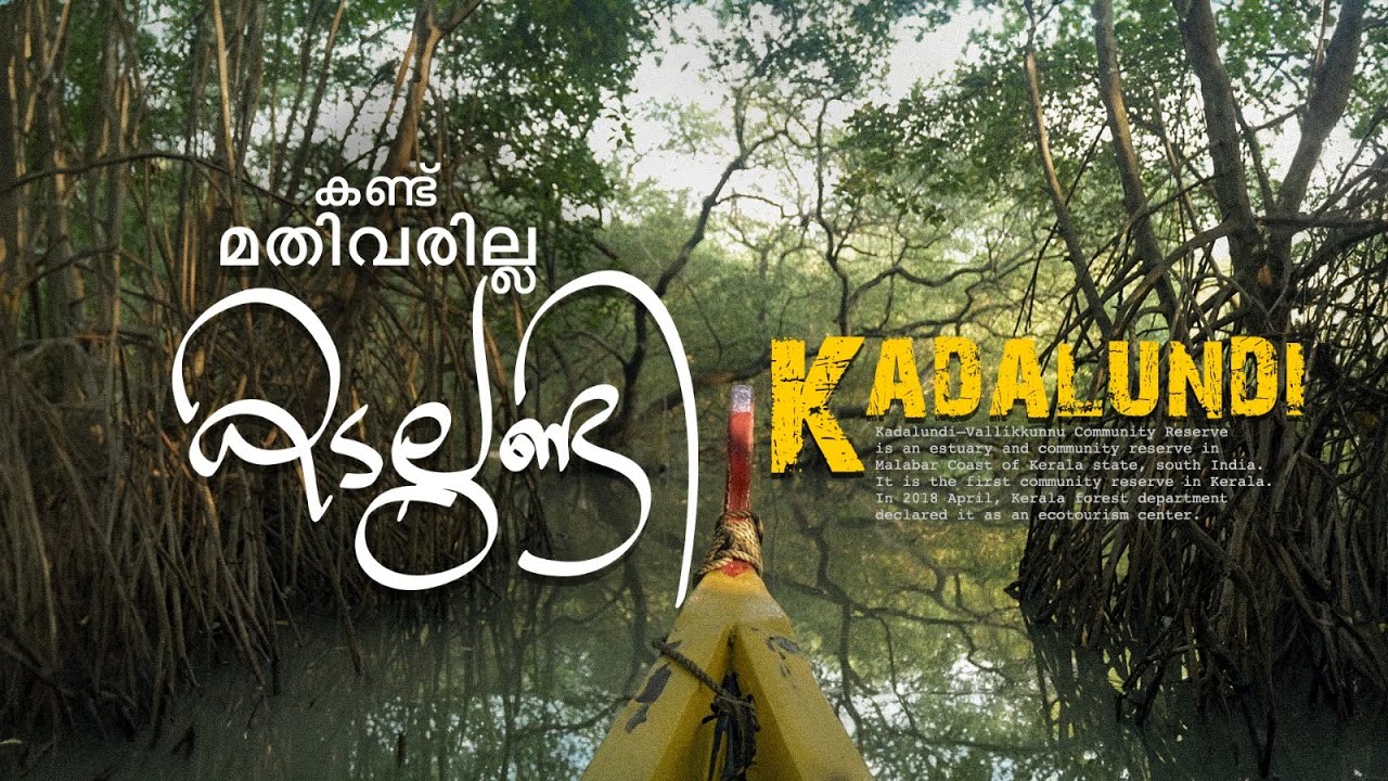 പുഴയും കടലും പിന്നെ കണ്ടല്‍ക്കാടും; സഞ്ചാരികളുടെ പറുദീസയായി കടലുണ്ടി | Kadalundi