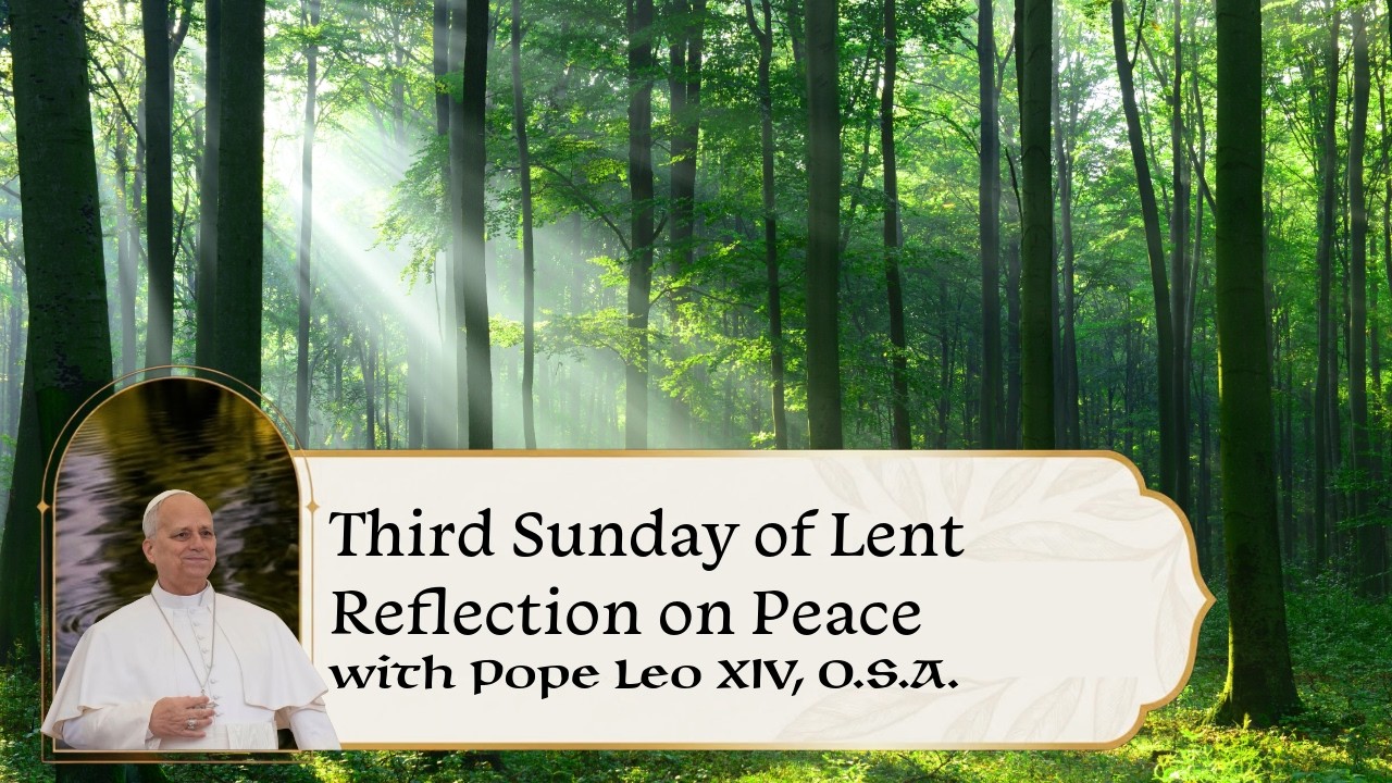 Third Sunday Reflection with Pope Leo