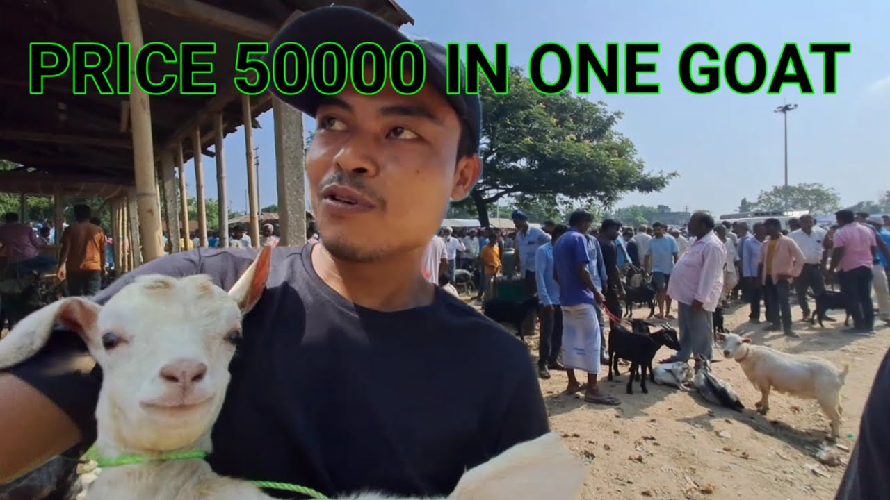 Lanka Goat Market
