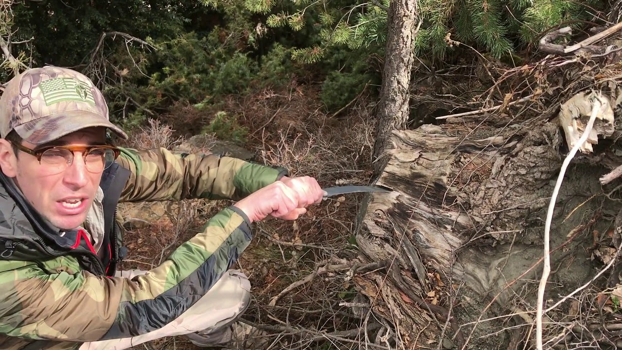 Esee Junglass Test and review!!