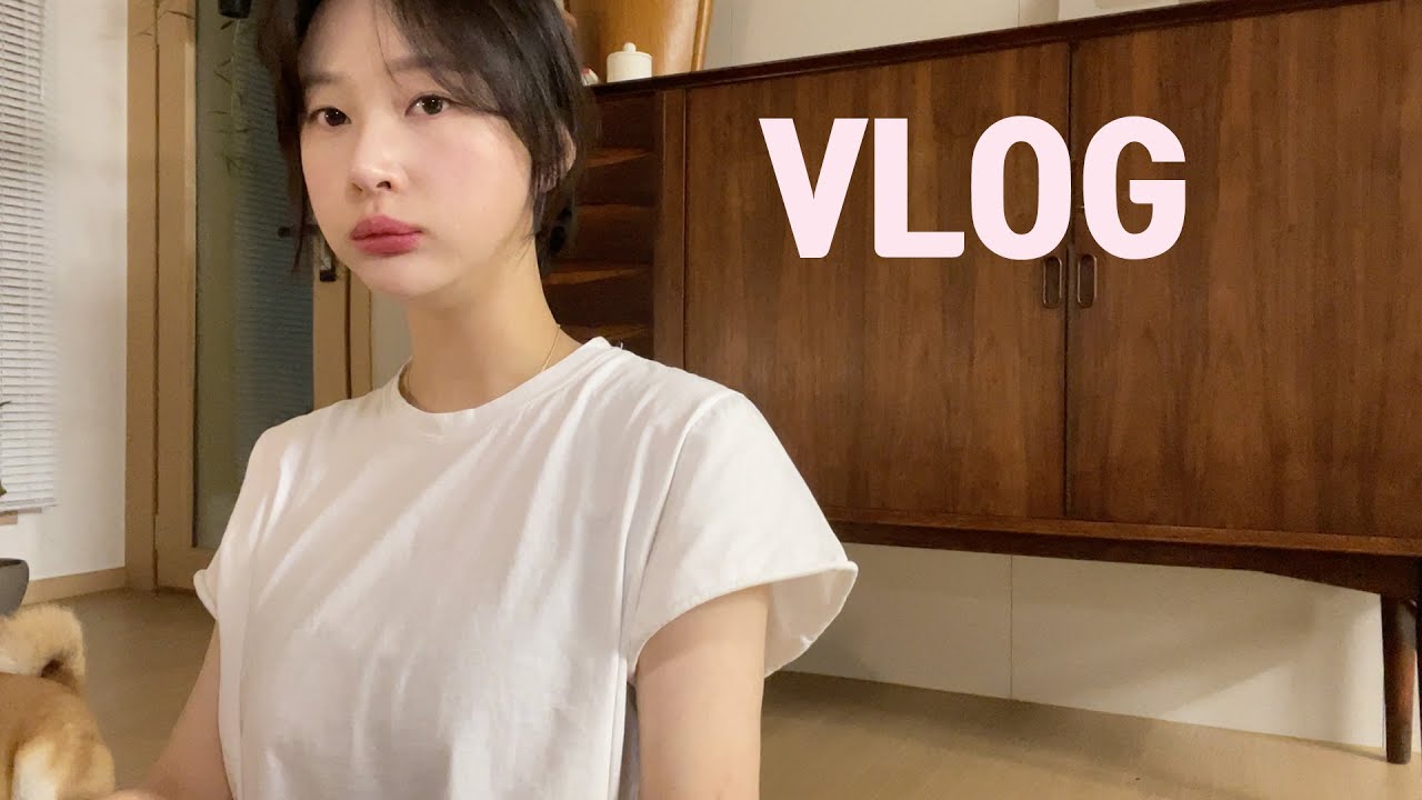 [vlog]일상 브이로그(식욕과 물욕 사이../무뼈국물닭발 짱맵다 w.주먹밥/K직장인들의 낮술/닭볶음탕 새로 소주/시엔느 가디건/에어랩..망했는디/송파감자국/시바견 택이)