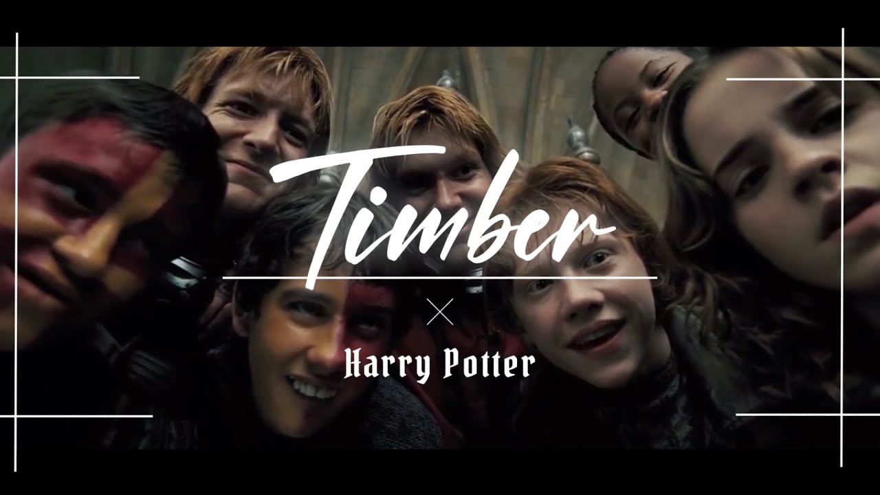 【MAD】HarryPotter × TimberｰPitbullｰ
