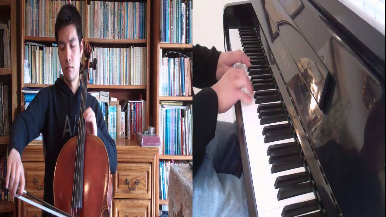 Rihanna - Stay ft. Mikky Ekko (Cello Cover)