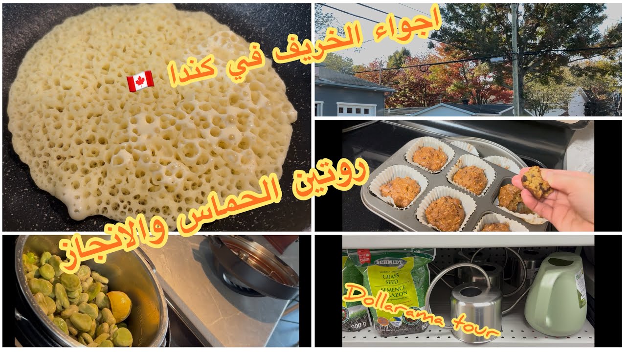 روتين يومين فين وصلنا فتجهيزات غرفة الرياضة ؟شهيوات صحية وخريجة لاجمل الامكنة فكندافوقت الخريف