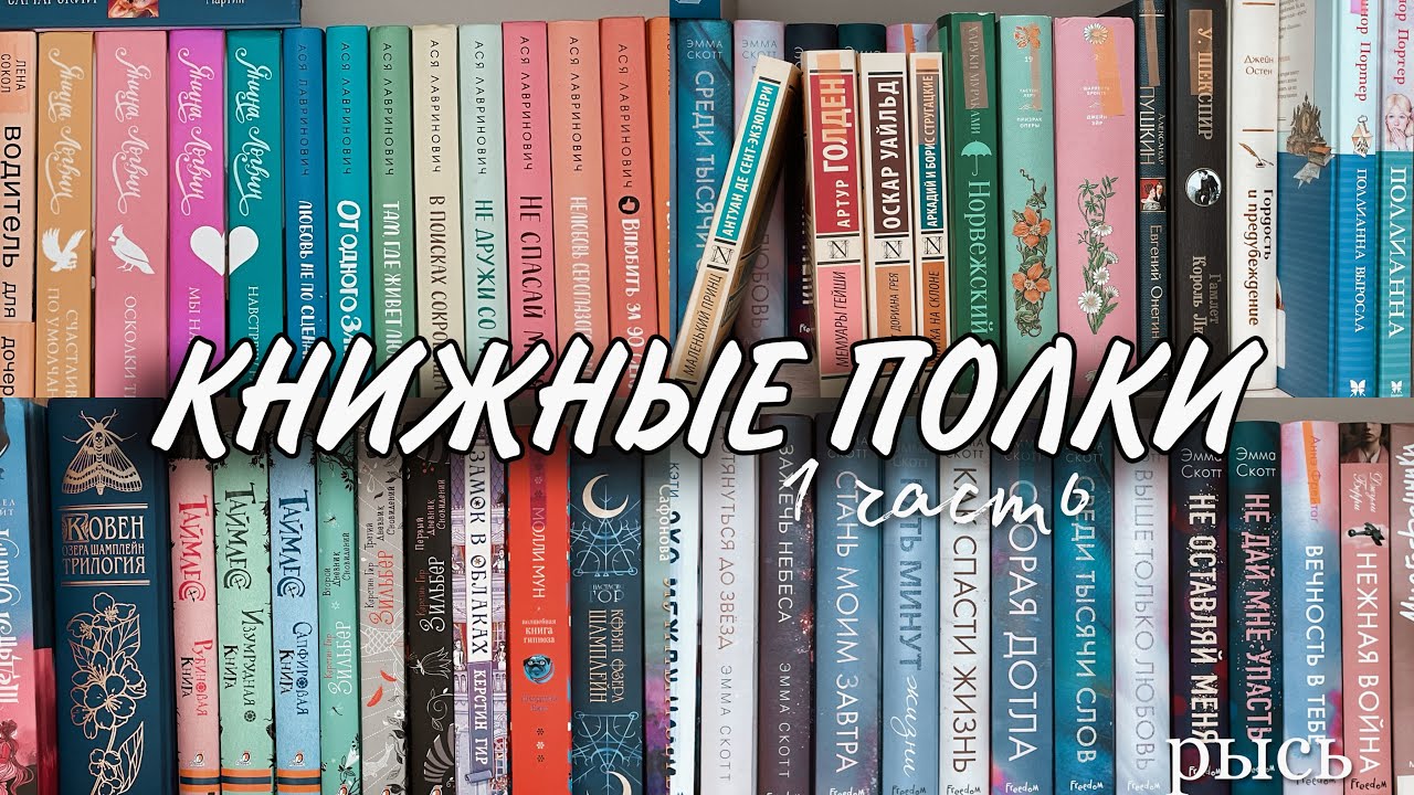 книжные полки 1 часть; мои книги🫂💗