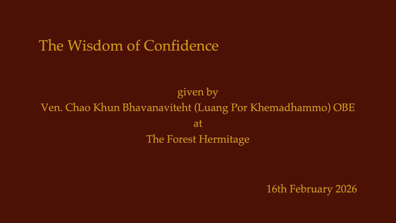 The Wisdom of Confidence