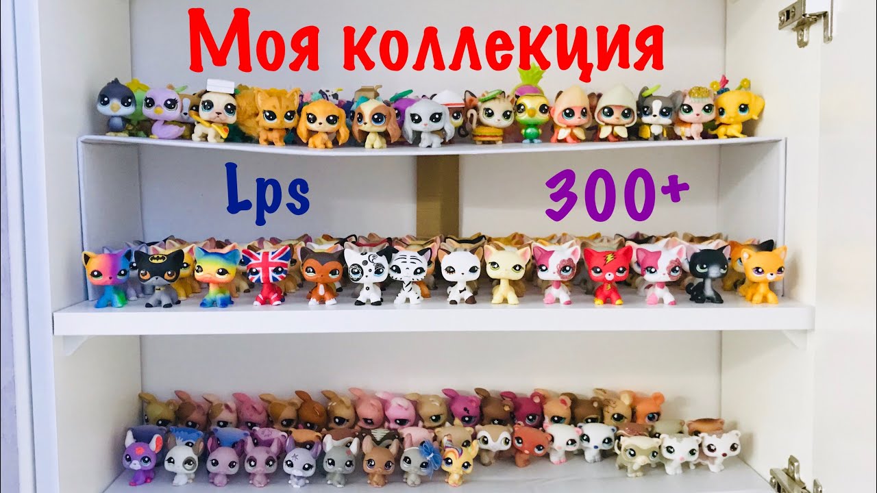 LPS: МОЯ КОЛЛЕКЦИЯ LITTLEST PET SHOP