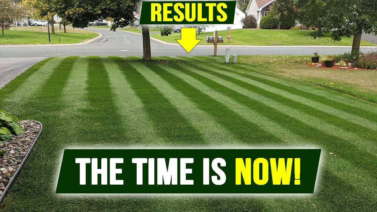 Fall Nitrogen Plan with RESULTS!! 99% Do NOT Do This but THEY SHOULD!
