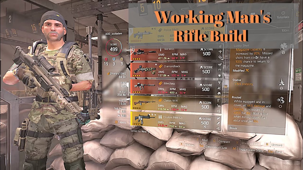 Division 2: TU6 Working Man's Rifle Build