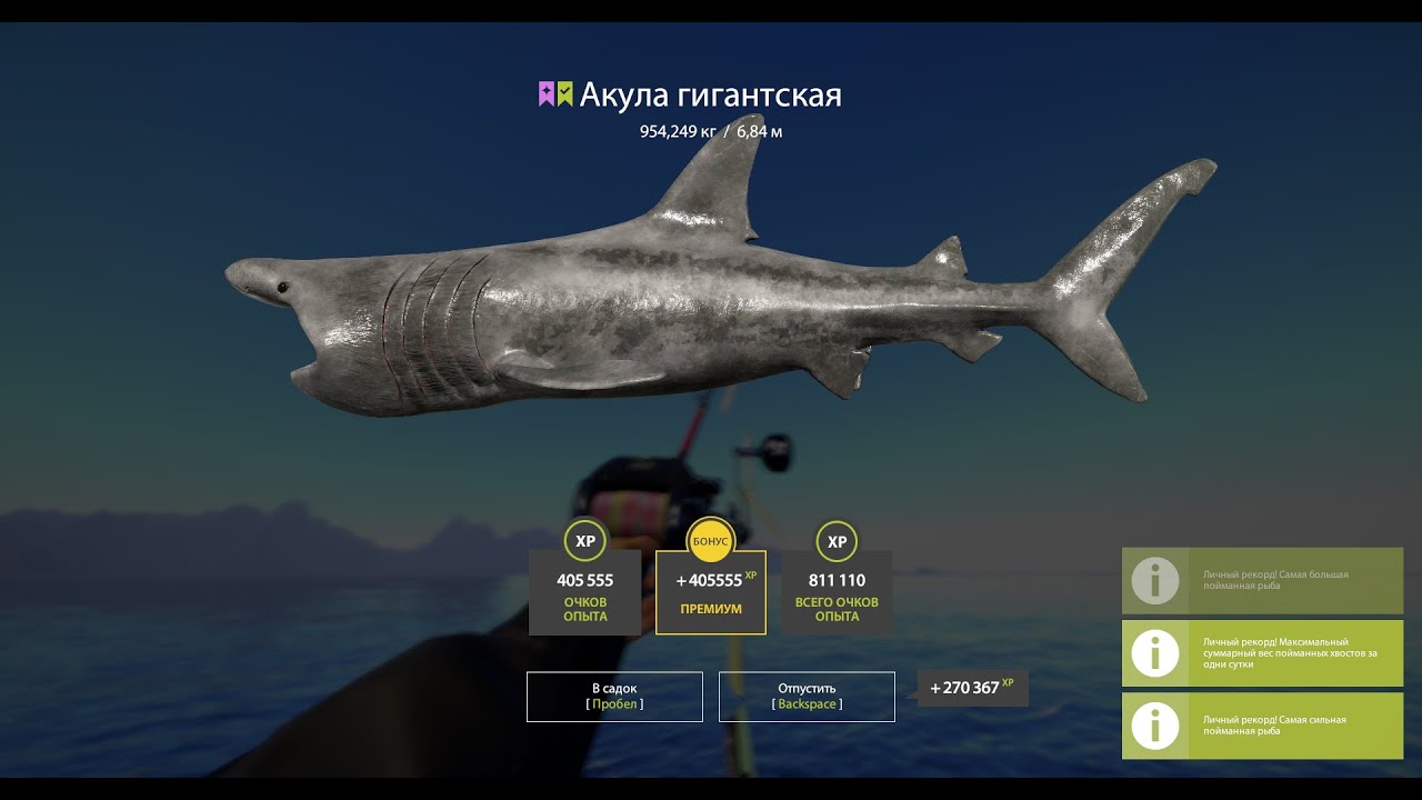 Гигантская акула 954кг / Basking shark. Russian Fishing 4
