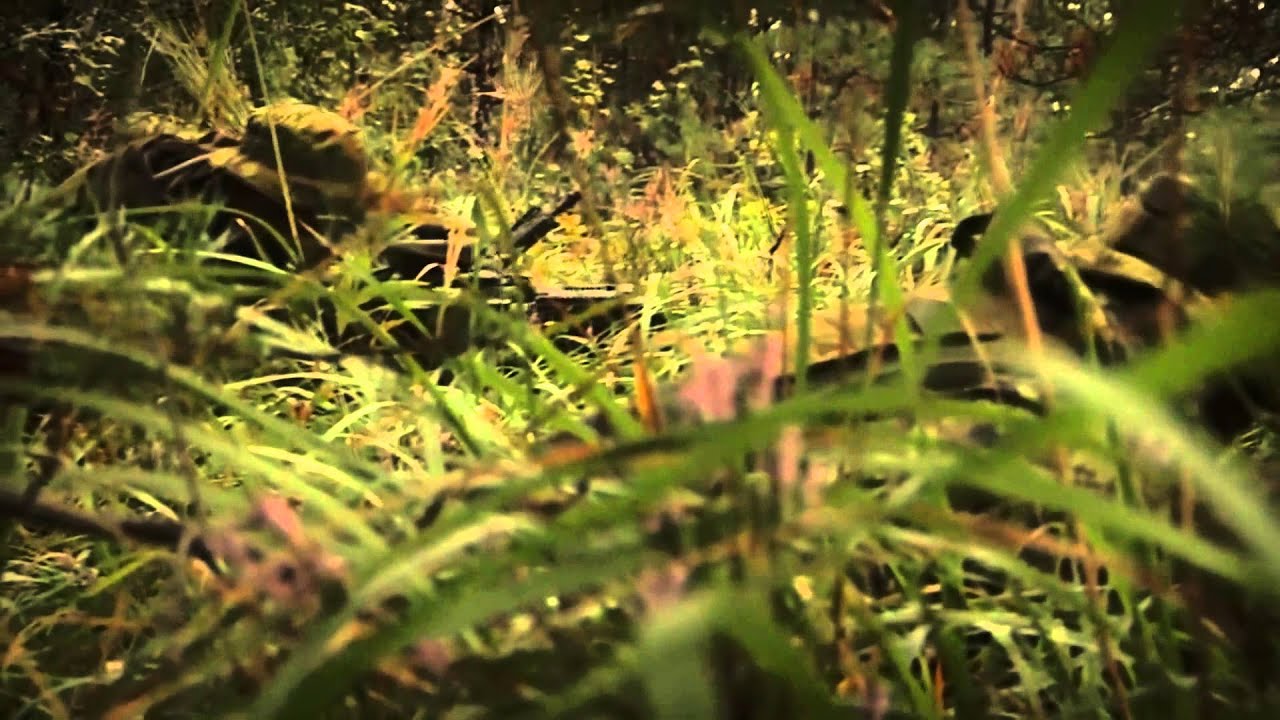 Erioperatsioonide grupp (EOG/ESTSOF)