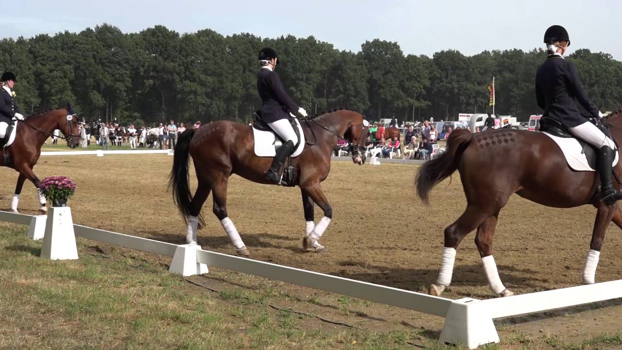 Klassische Quadrille - Sieger 2016:  RV St.  Hubertus Wesel-Obrighoven