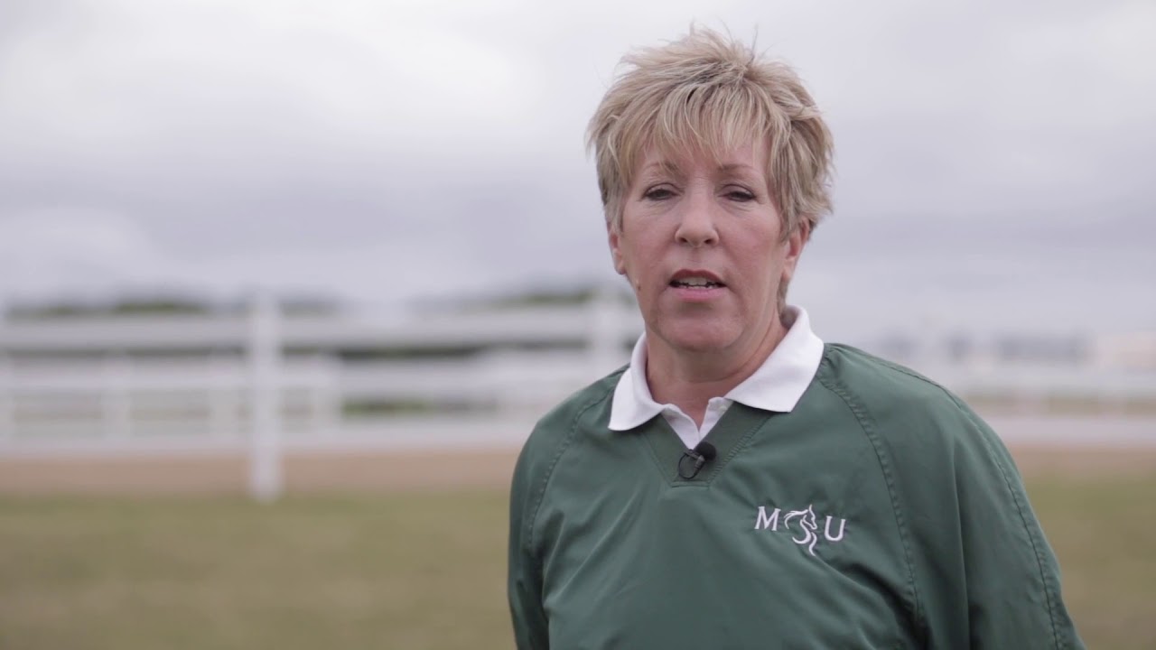 Horse Management Certificate Program at MSU Institute of Agricultural Technology
