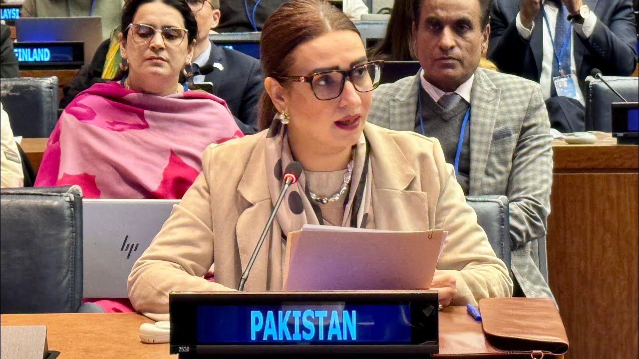Remarks by Senator Bushra Anjum Butt during the high-level meeting on Violence against Women. #csw 