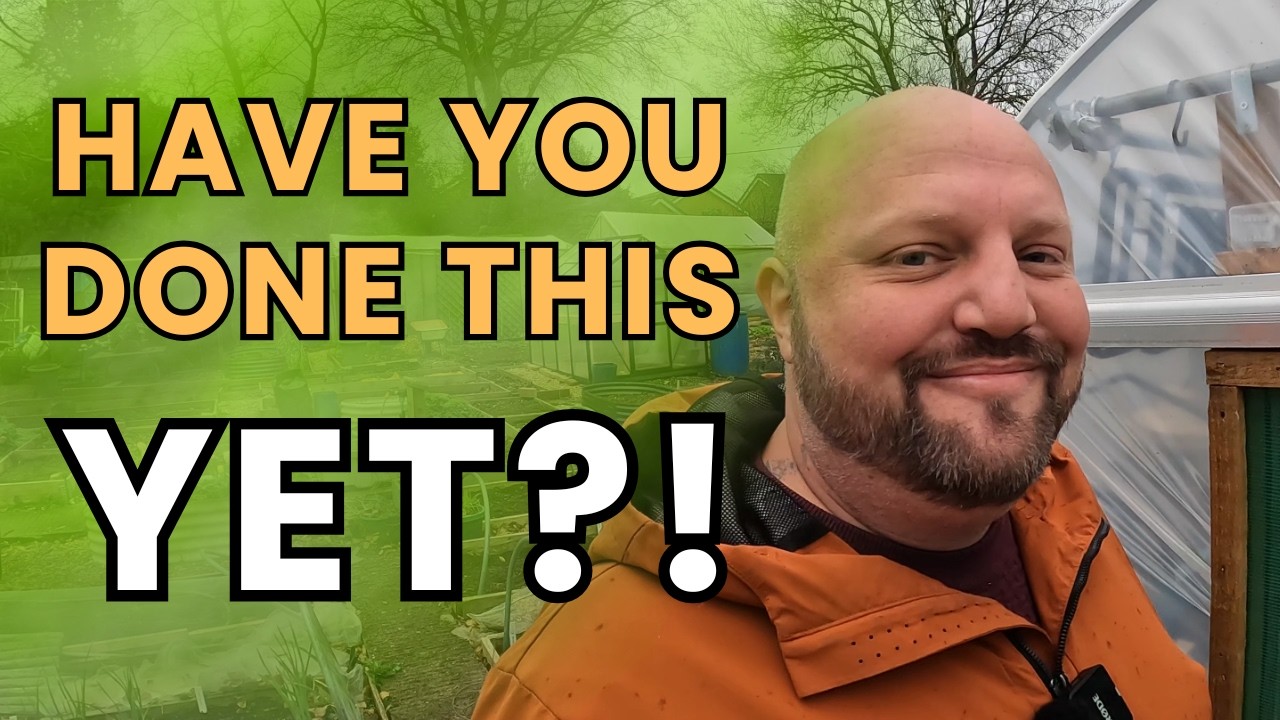 Getting ready for spring | DIY Potting Shed Update | Allotment Gardening UK