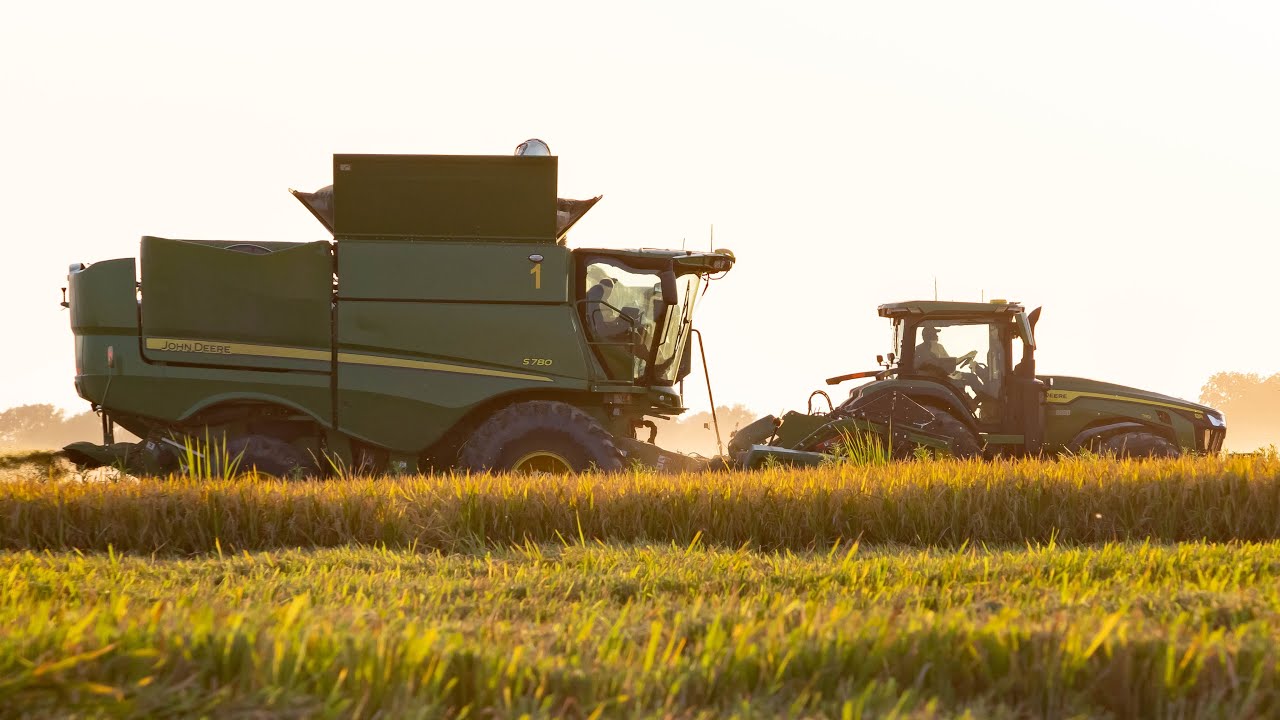Mississippi Delta Corn and Rice Harvest: Part 1
