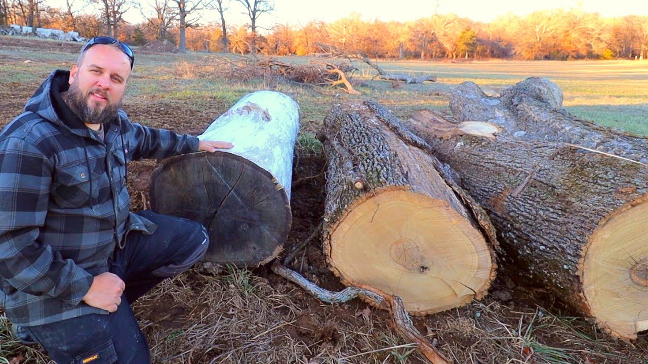 Chainsaw Mill vs Bandsaw Mill - Which is Right for You?