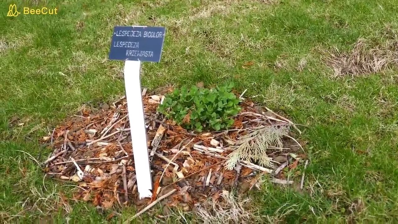 Prace, porządki i takie tam w ogrodzie.