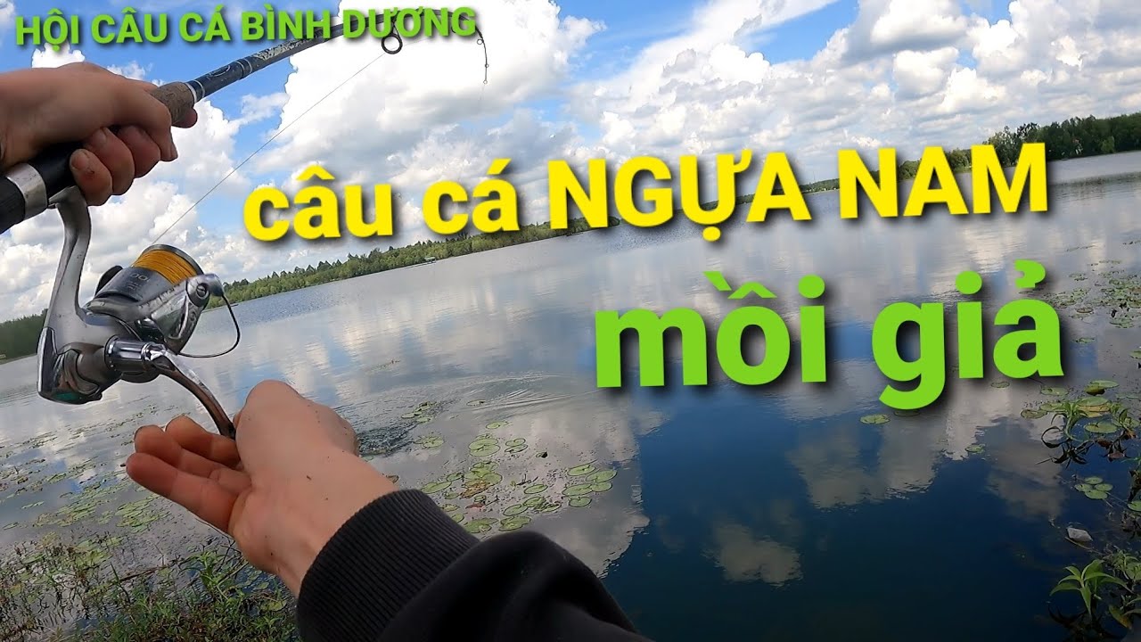 HỘI CÂU CÁ BÌNH DƯƠNG. tiếp tục săn CÁ NGỰA NAM bằng MỒI GIẢ / fishing