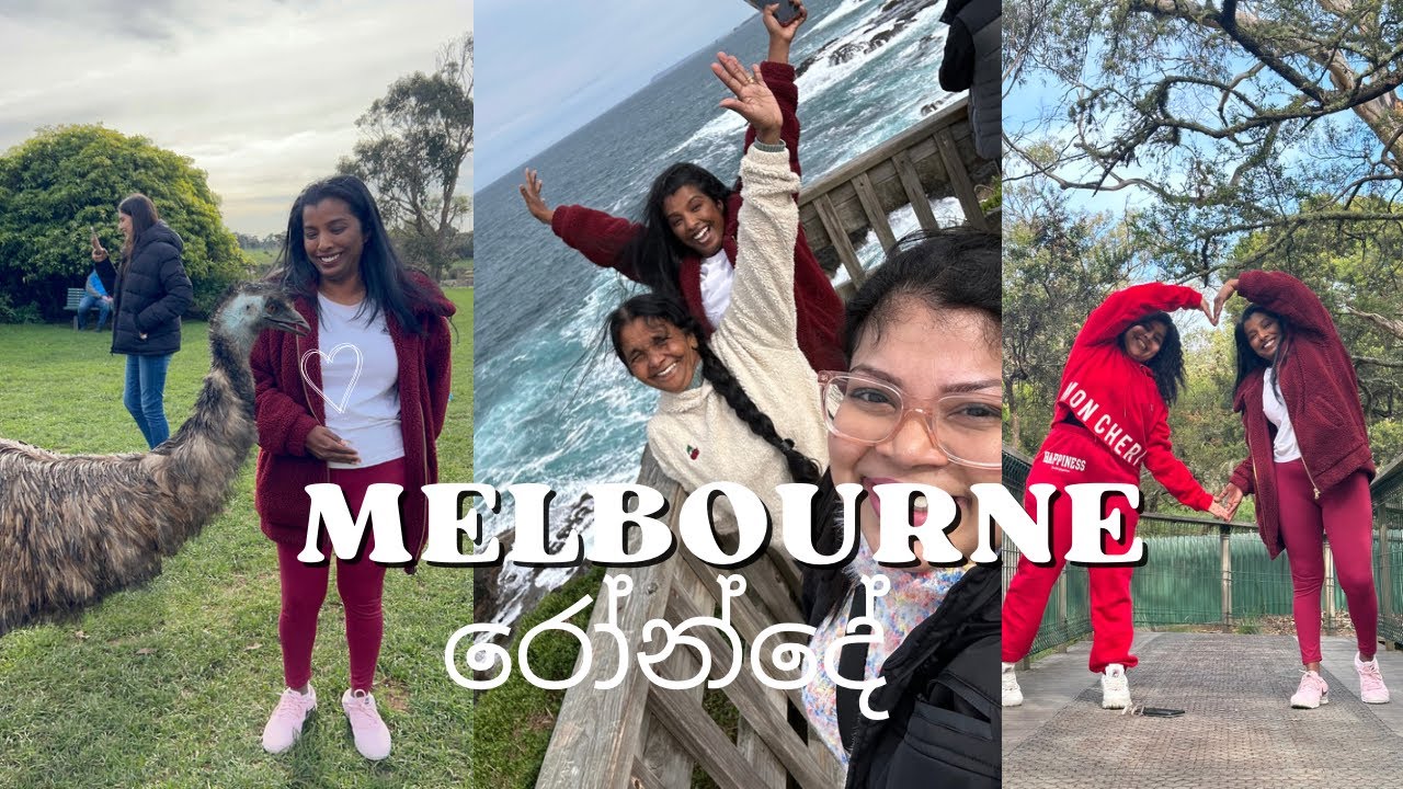 Melbourne රෝන්දේ | Phillip island | Yarra Valley