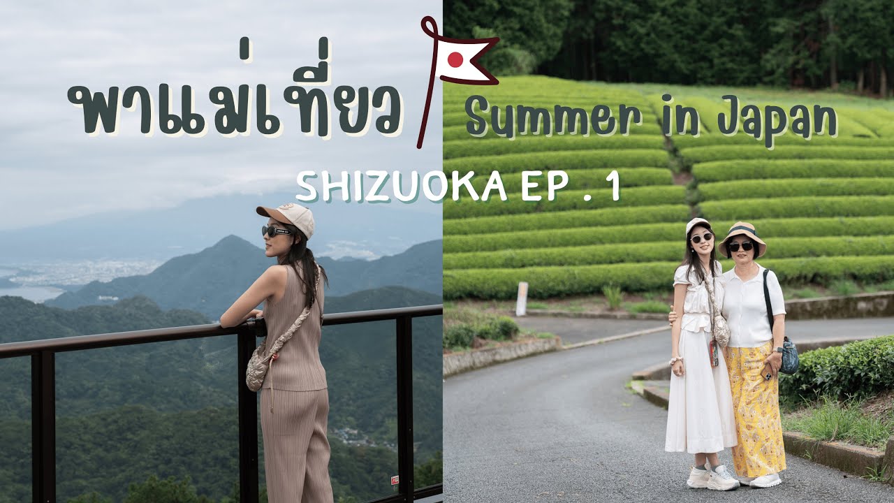 เที่ยว Shizuoka ชมไร่ชา จุดชมวิว Fuji  ชมชายฝั่ง Izu peninsula