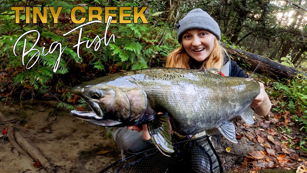 We Found GIANT Coho Salmon and Steelhead in a Tiny Creek! (Still Trying for Claira’s First Trout)