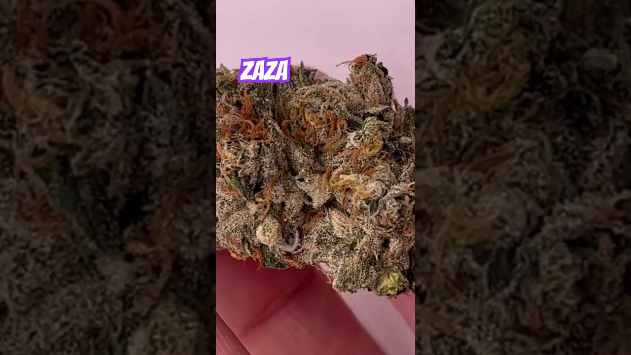 Wake and #Bake on Sum #Zaza #grow #organic #Weednerd #Smoke