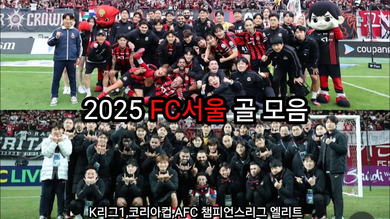2025 FC서울 골 모음