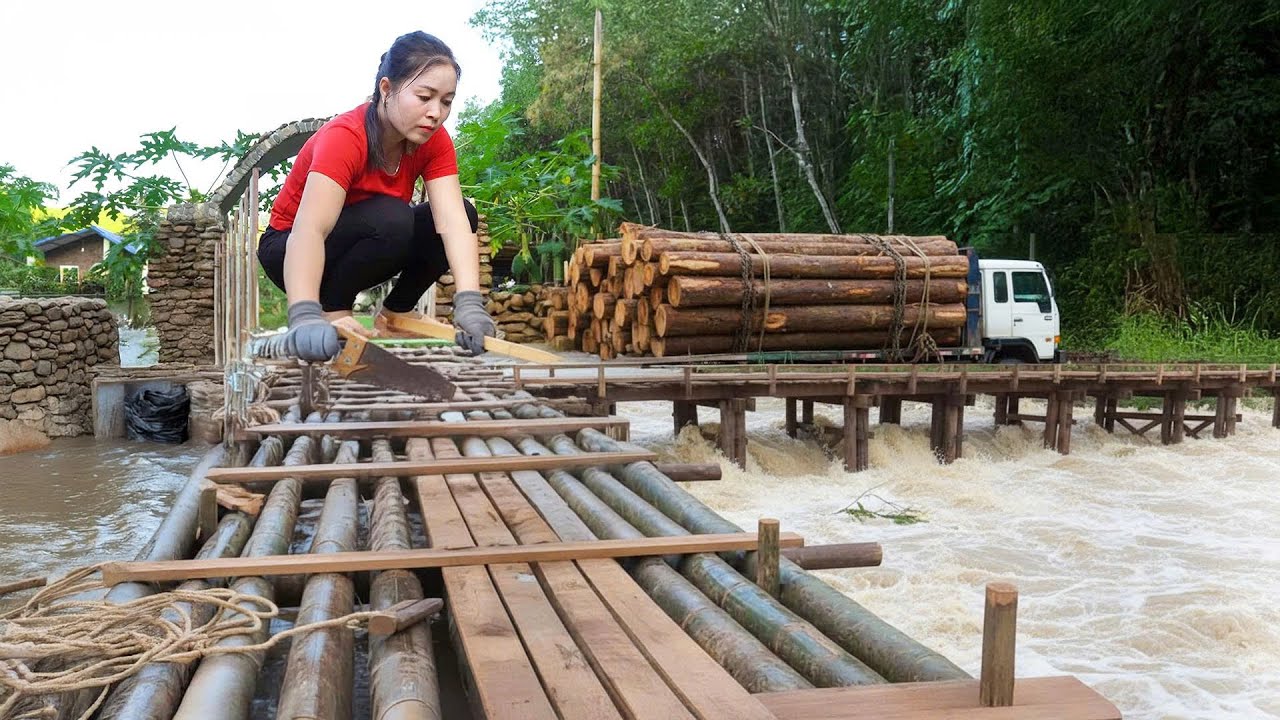 Use Trucks to Transport Huge Bamboo Trees to Rebuild Bridge After a Major Flood