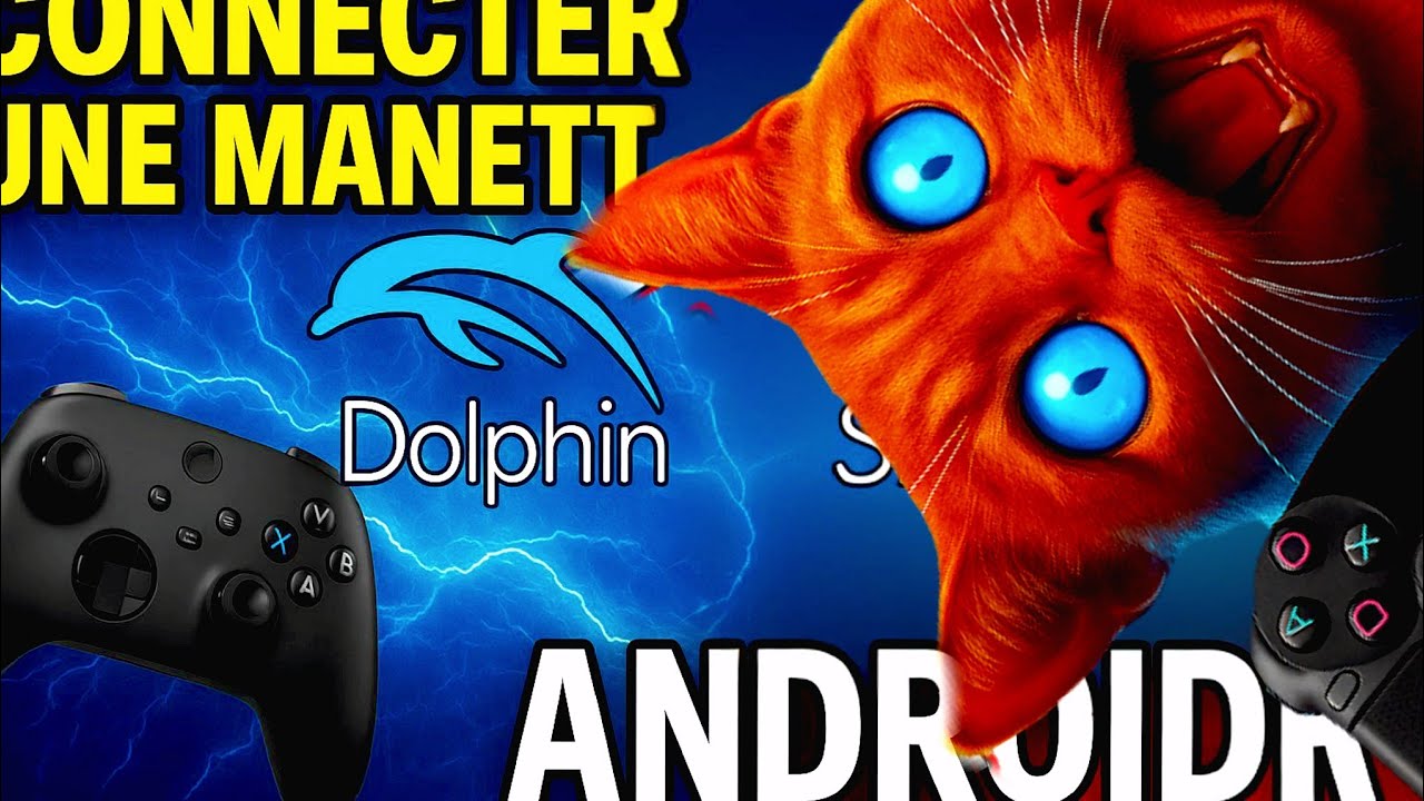 comment🔥 Connecter une Manette sur Dolphin Emulator Android (Wii) – Tuto Facile 2025 !
