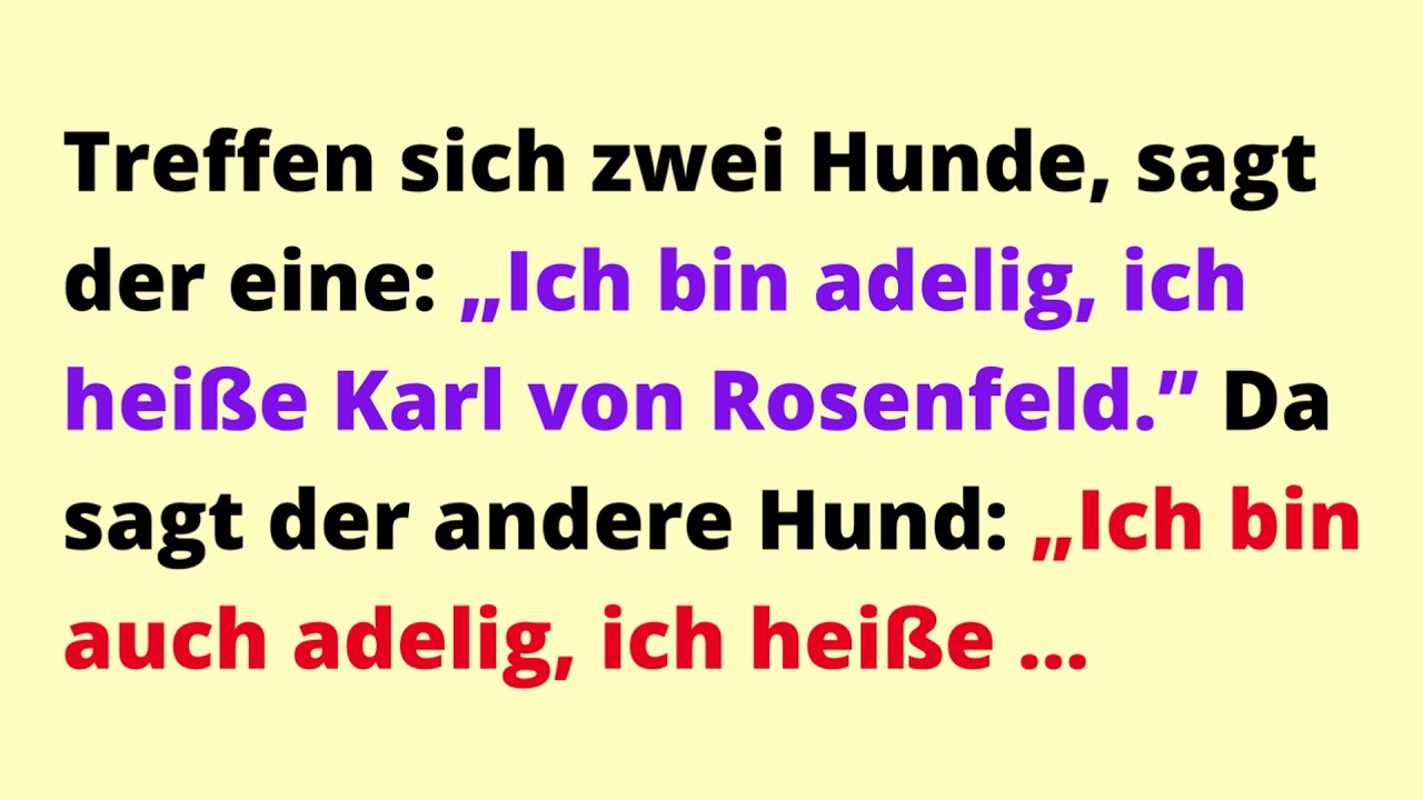 Herrlich flache WITZE❗10 lustige kurze FLACHWITZE, die ich einfach liebe!