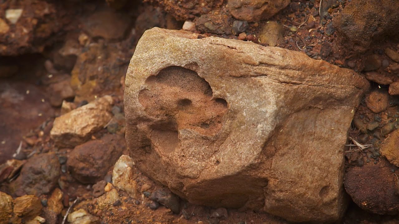 Destination WA - Coalseam Conservation Park