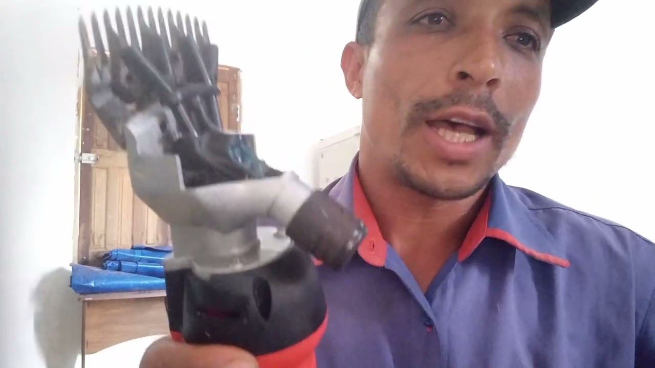 Como lubrificar a parte interna da tosquiadeira