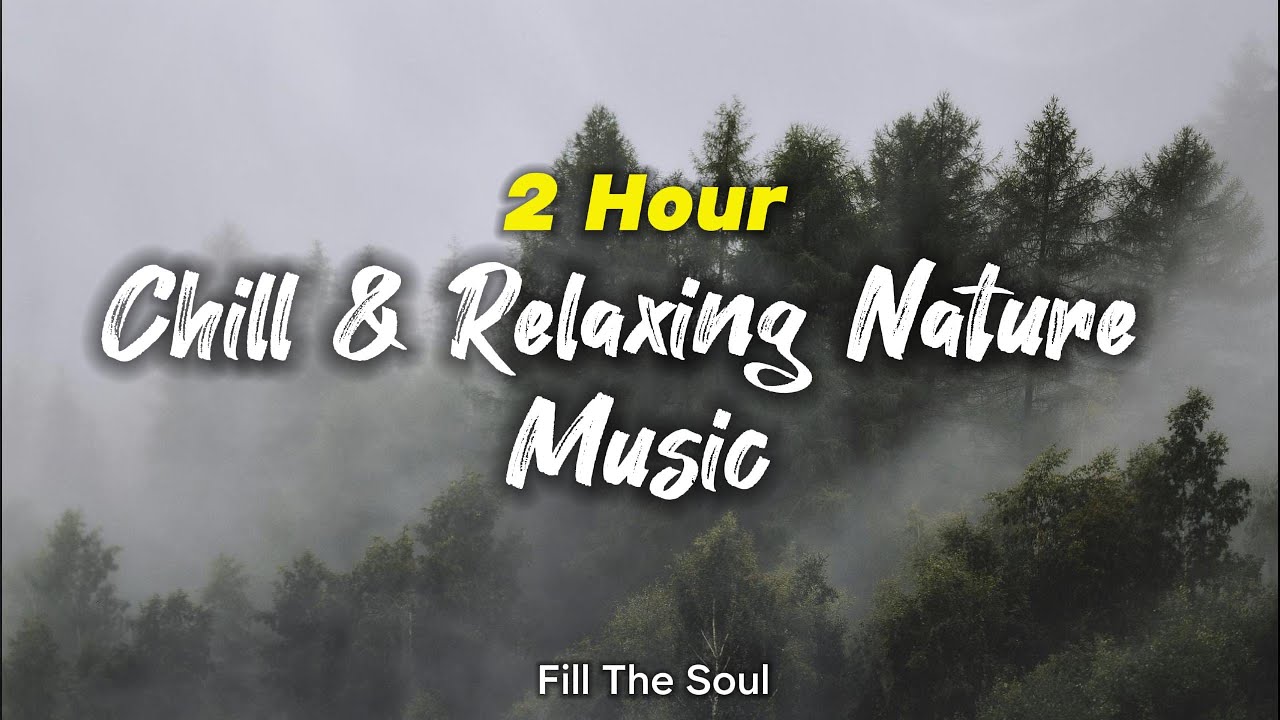 Chill & Relaxing Nature Music 🌿  | Peaceful Forest Sounds for Stress Relief & Sleep | 2 Hour