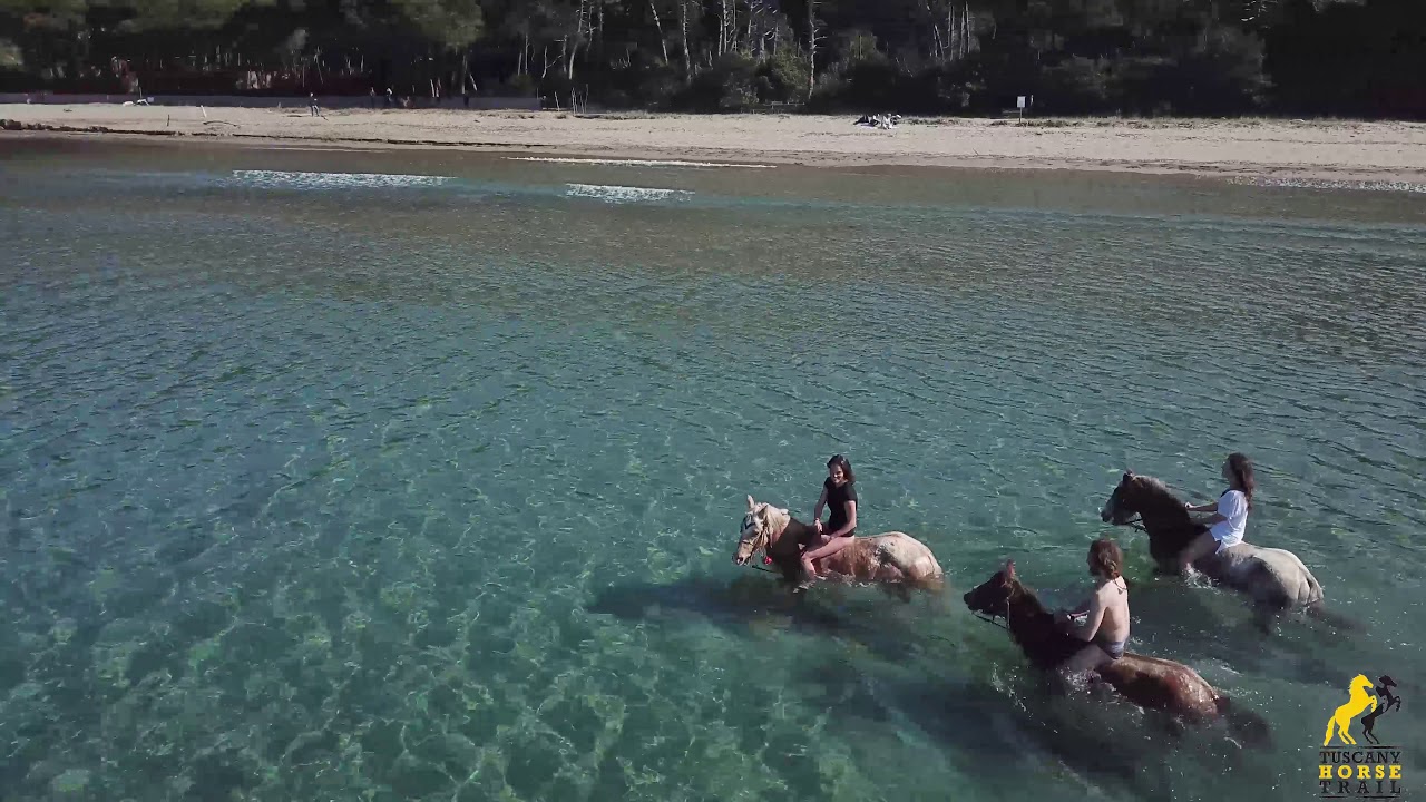 Cala Violina a cavallo in spiaggia al galoppo in Maremma in Toscana