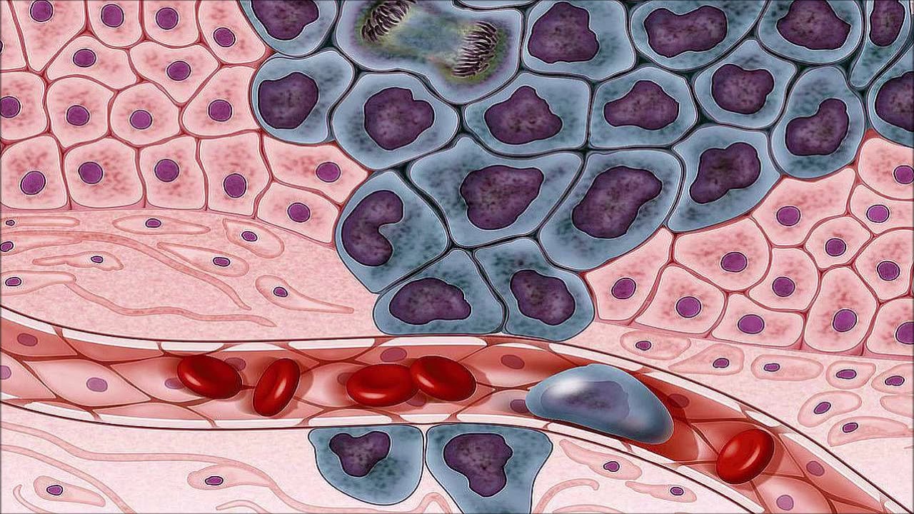 This sound could kill cancer cells (444 Hz) - 60 minutes of probable treatment